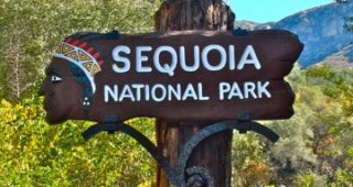 Sequoia Entrance Sign Restored