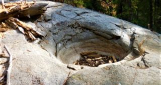 Prehistoric Rock Basins Prehistoric Rock Basins